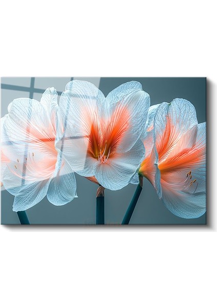 Beyaz Amarilis - Turkuaz Fonda Zarif Çiçek Portresi Cam Tablo fiyatları