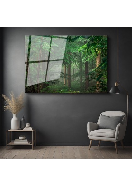 Sis Ormanı - Yeşil Yapraklar Arasında Işık Huzmeleri Cam Tablo