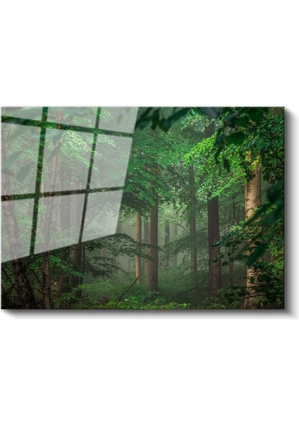 Sis Ormanı - Yeşil Yapraklar Arasında Işık Huzmeleri Cam Tablo fiyatları