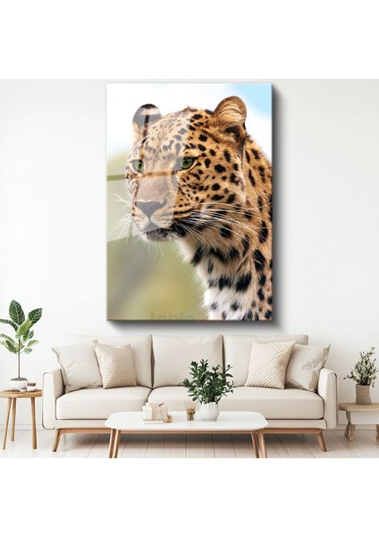 Leopar Portresi - Vahşi Bakış Cam Tablo