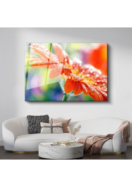 Turuncu Gerbera - Çiy Damlacıklı Çiçek Detayı Cam Tablo