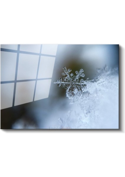 Kar Tanesi - Kristal Zarafet Cam Tablo fiyatları