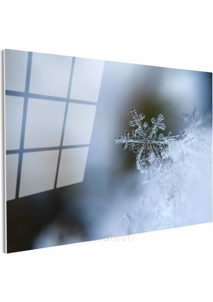 Kar Tanesi - Kristal Zarafet Cam Tablo modelleri