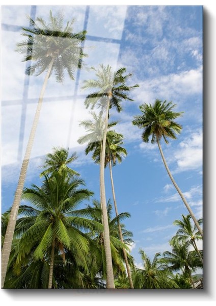 Palmiye Cenneti - Gökyüzüne Uzanan Yeşil Siluetler Cam Tablo fiyatları