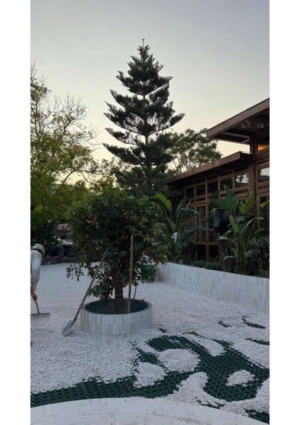 Mıcır / Çakıl Tutucuızgara 50* 50 cm Ölçülerinde 3m2 (12ADET) Alana 3m2 Jüt Hediye