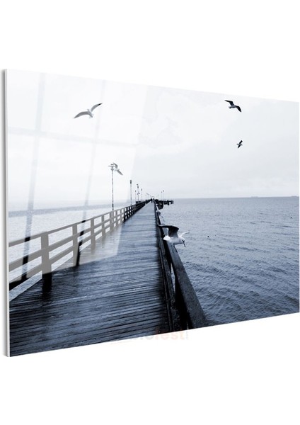 Ahşap Iskele - Martıların Eşlik Ettiği Deniz Manzarası Cam Tablo modelleri