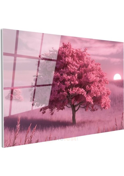 Pembe Ağaç - Gün Batımı Huzuru Cam Tablo modelleri