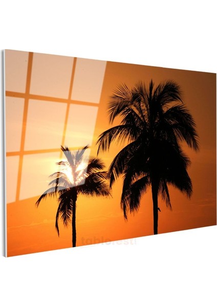 Palmiyeler - Turuncu Gün Batımında Tropik Silüetler Cam Tablo modelleri