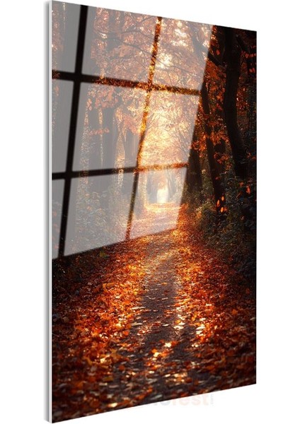 Sonbahar Patikası - Altın Yapraklarla Bezeli Büyülü Orman Yolu Cam Tablo modelleri