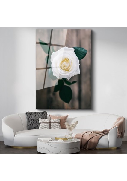 Beyaz Gül - Minimalist Çiçek Portresi Cam Tablo