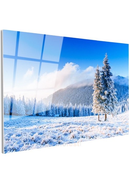 Kış Masalı - Kar Kaplı Çam Ağaçları ve Beyaz Örtü Cam Tablo modelleri