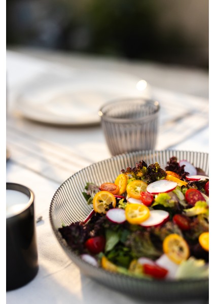 Splendid Cam 2'li Salata Kasesi Seti Füme 25 cm - 30 cm fiyatları