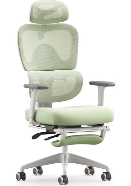 Ergonomik Ofis Koltuğu, 3D Kolçak, Ayak & Baş Desteği, 3 Kademeli Bel Omuru Koruması