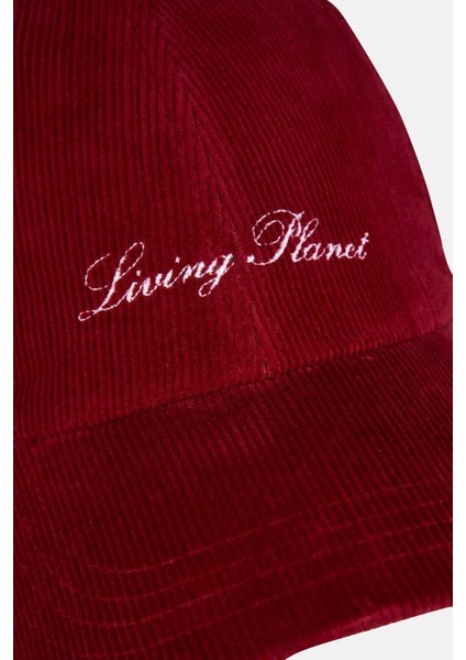 Living Planet Kadife Cap - Bordo modelleri