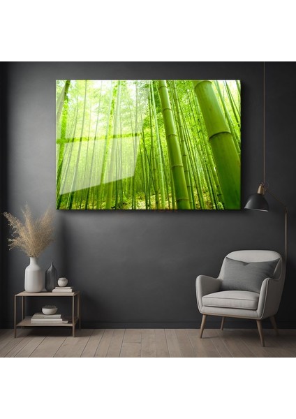 Bambu Ormanı - Canlı Yeşil Tonlarıyla Doğanın Huzuru Cam Tablo