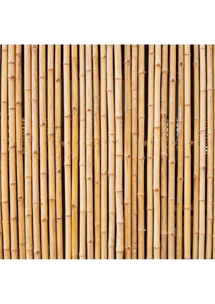 Sarı Bambu Çubukları, 180 Cm, 16-18 Mm, 5 Adet fırsatları