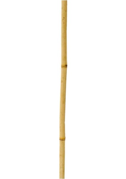 Sarı Bambu Çubukları, 180 Cm, 16-18 Mm, 5 Adet indirimleri