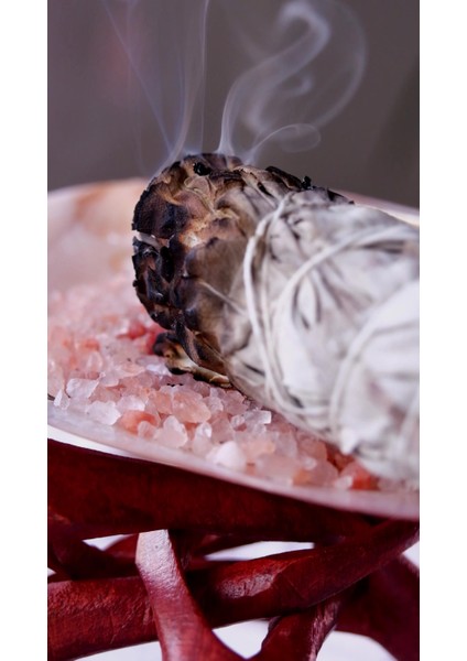 Elite Ardıç Tütsü Seti 3 Adet Enerji Arınma Bereket Nazarlık Ritüel Juniper Berry Incense Set 1 Adet
