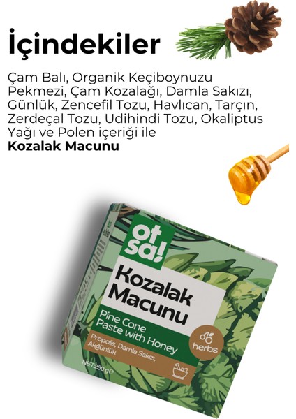 Çam Kozalak Macun 250 gr modelleri
