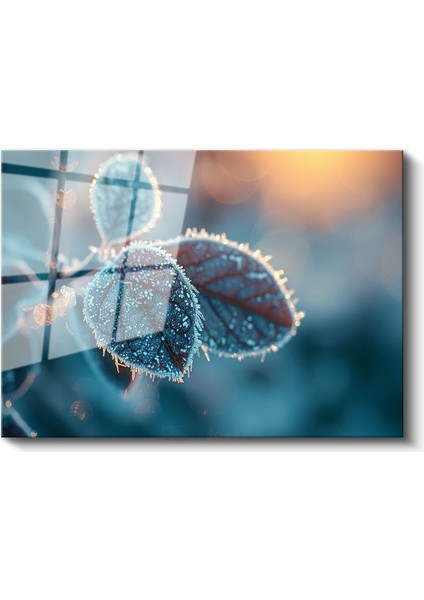 Kırağılı Yapraklar - Gün Doğumu Işığında Makro Çekim Cam Tablo