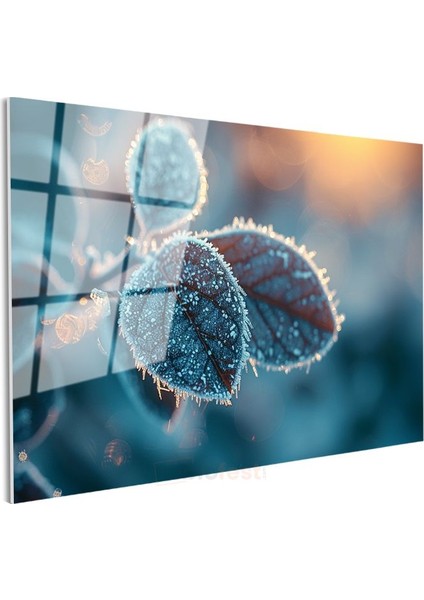 Kırağılı Yapraklar - Gün Doğumu Işığında Makro Çekim Cam Tablo