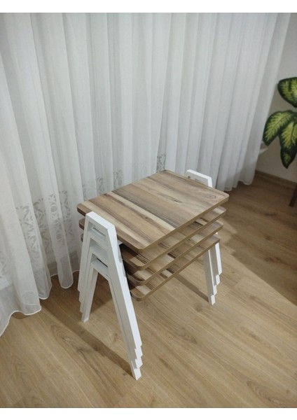 Zigon Sehpa 4'lü Tepsi Model