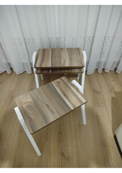 Zigon Sehpa 3'lü Tepsi Model