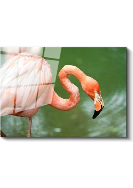 Pembe Flamingo - Zarif Duruşlu Su Kuşu Cam Tablo fiyatları