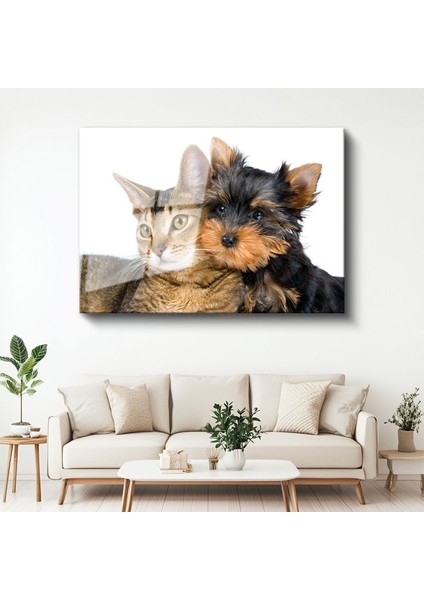 Sıcak Dostluk - Kedi ve Köpek Yavrusu Yan Yana Cam Tablo