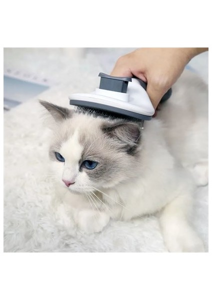 ® Kedi Köpek Tüy Toplayıcı Kendini Temizleyebilen Ergonomik Rahat Evcil Hayvan Tarağı Gri fırsatları