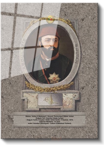 Osmanlı Padişahları - Sultan Iı. Mahmud Portresi Cam Tablo fiyatları