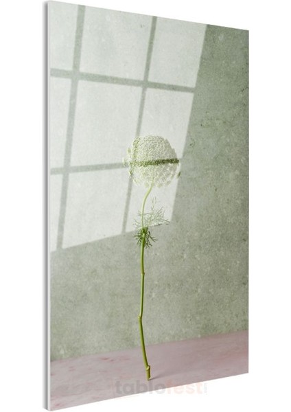Yeşil Çiçek Tomurcuğu - Minimalist Botanik Detay Cam Tablo