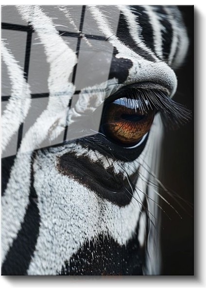 Zebra Gözü - Siyah Beyaz Desenlerde Kahverengi Bakış Cam Tablo