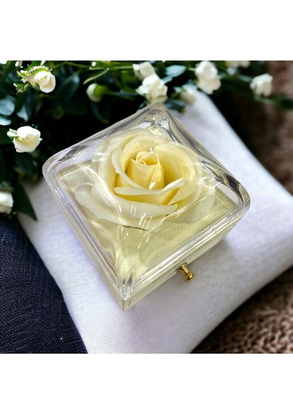 Gül Detaylı Mini Takı Organizeri, Krem Renk, Şık ve Kullanışlı Hediye Kutusu