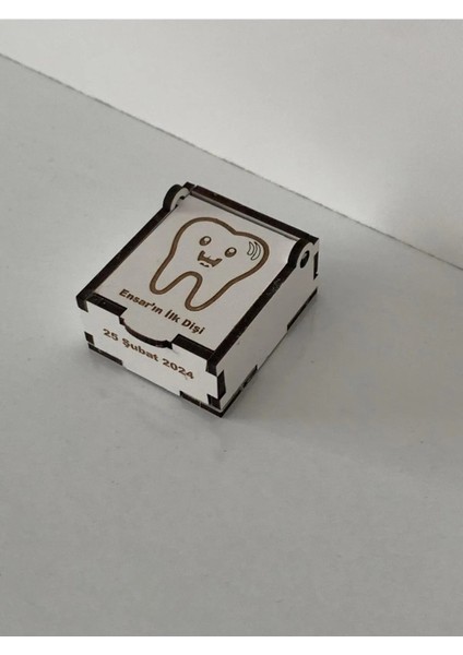 Ilk Diş Saklama Kutusu modelleri