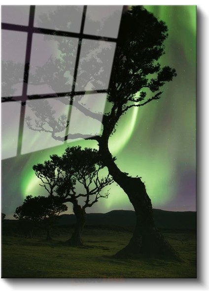 Kuzey Işıkları - Ağaç Silüetleriyle Dans Eden Aurora Cam Tablo