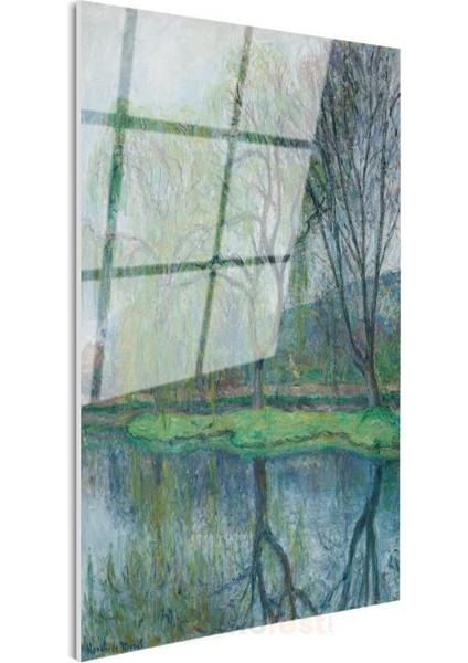 Claude Monet - Söğütlerin Yansıması Cam Tablo