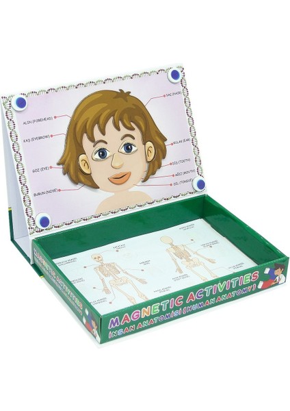 LC7171 Laço, Laço, Manyetik Aktiviteler - Insan Anatomisi / +3 Yaş