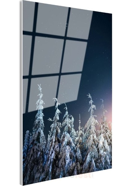 Karlı Çamlar - Yıldızlı Gece Altında Büyüleyici Cam Tablo modelleri