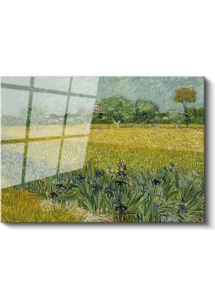 Vincent Van Gogh - Arles Yakınlarında Süsenli Tarla Cam Tablo