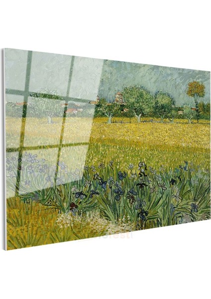 Vincent Van Gogh - Arles Yakınlarında Süsenli Tarla Cam Tablo