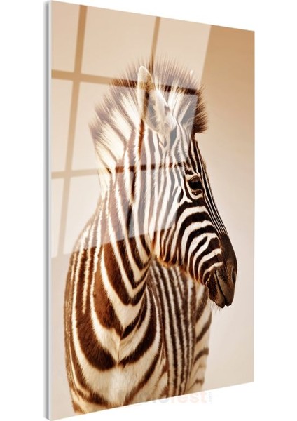 Zebra Portresi - Çizgili Zarafet Cam Tablo