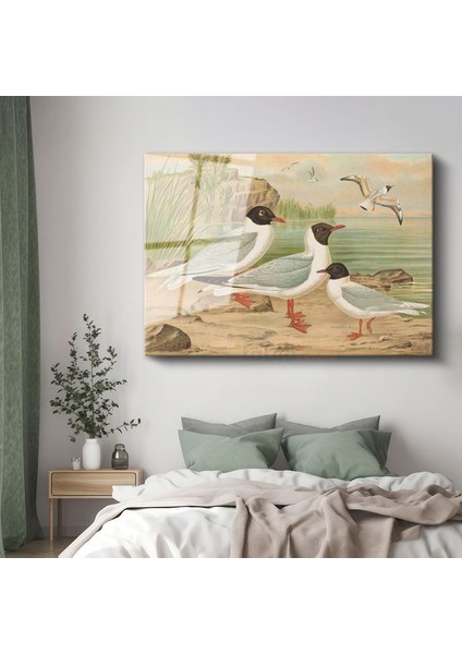 Anonim - Sahildeki Martılar Cam Tablo