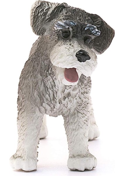 Farm World Minyatür Schnauzer fiyatları