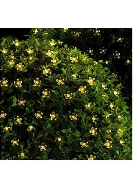 Solar 30 Ledli Çiçekli Günışığı Bahçe Aydınlatma Dekorasyon Güneş Enerjili fiyatları