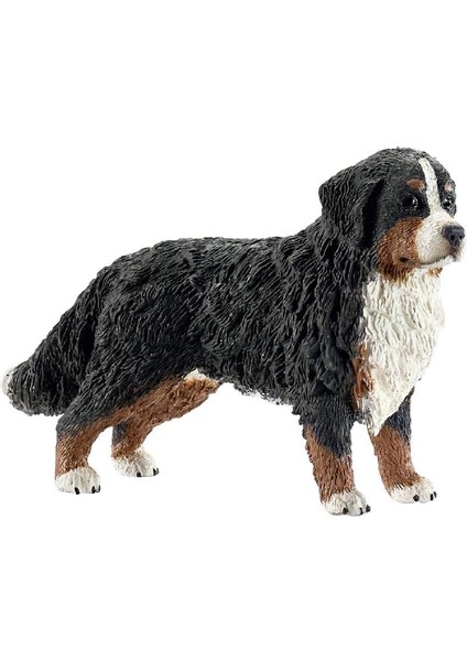 Farm World Dişi Bernese
