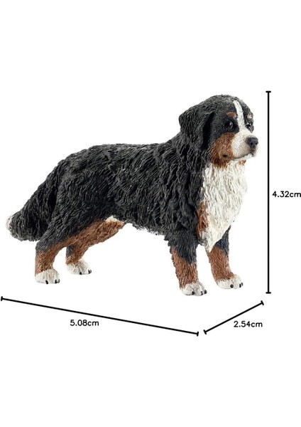 Farm World Dişi Bernese