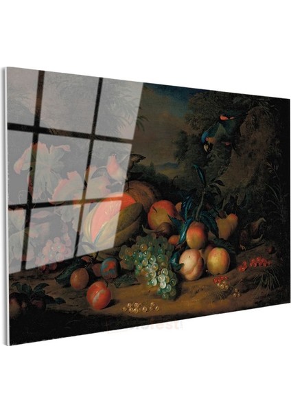 Abraham Brueghel - Egzotik Meyveler ve Kuşlar Cam Tablo modelleri