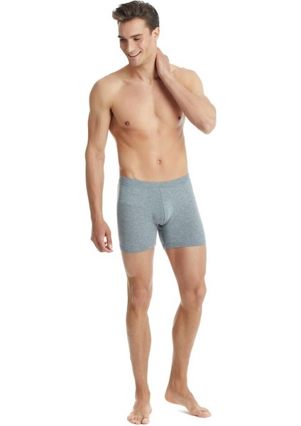 Silver Gri Boxer C3T1N3O9