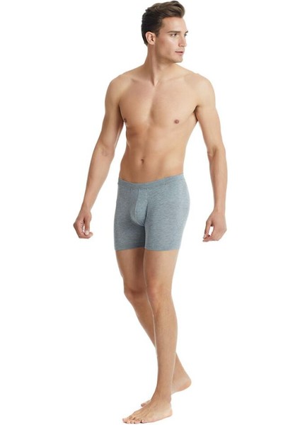 Silver Gri Boxer C3T1N3O9 modelleri